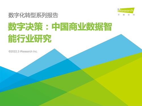 艾瑞咨詢 2022年中國商業(yè)數(shù)據(jù)智能行業(yè)研究 